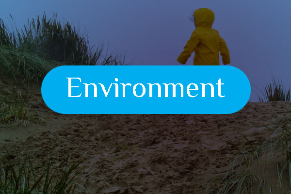 Environment